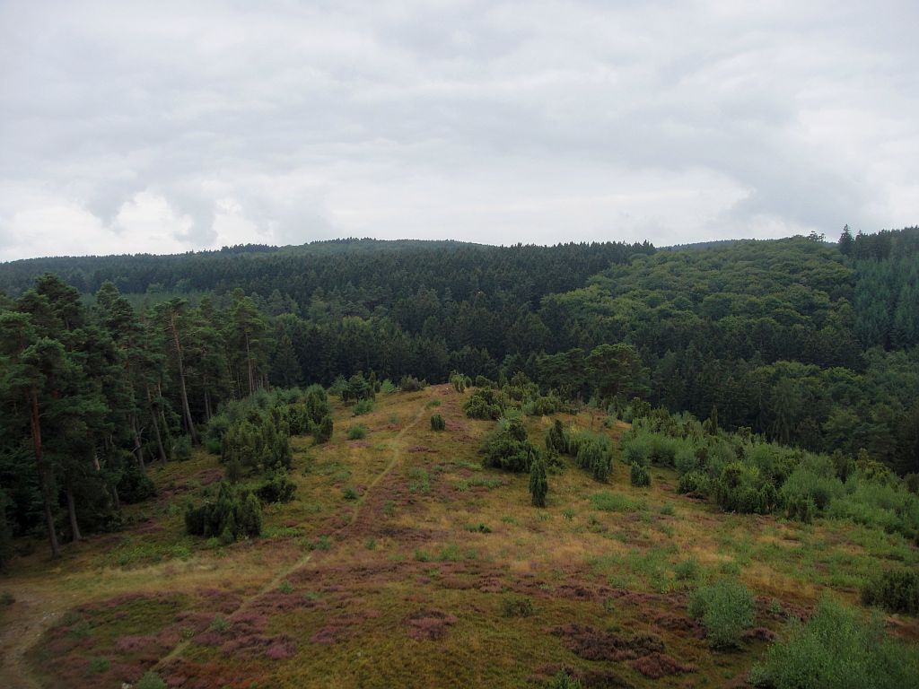 Königsfeld/Eifel