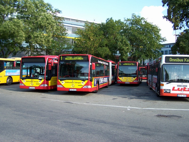 SVT Citaros