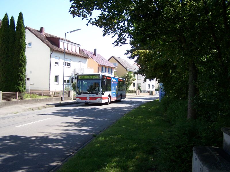 412 WGT - Trauben