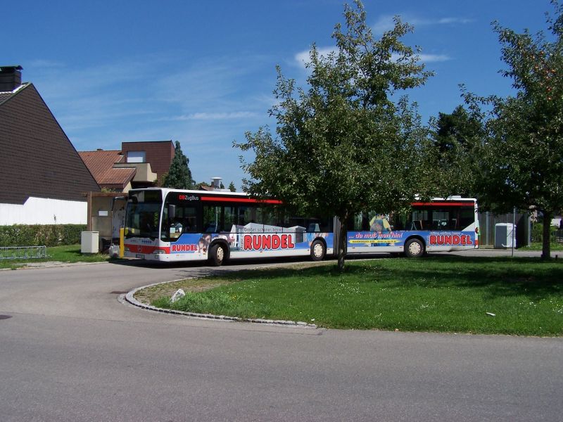 213 BFT - Schacherösch
