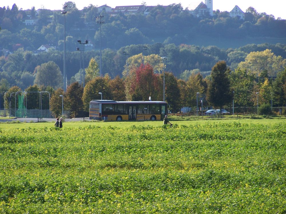 Herbst-Sonntags-Impressionen