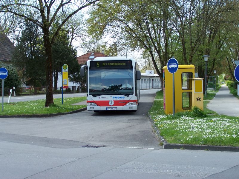 318 BFT - Weidenösch