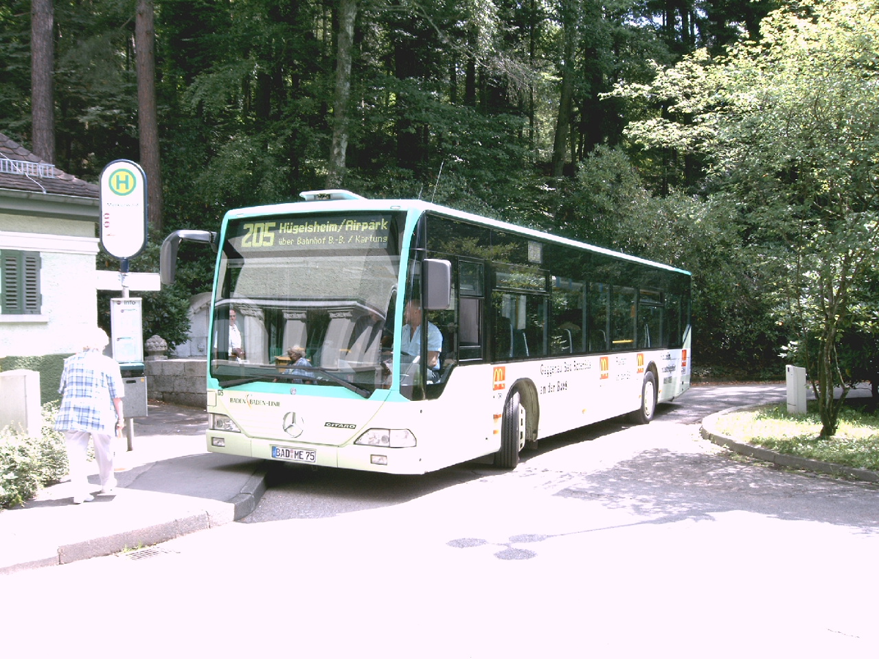 205 Merkurwald