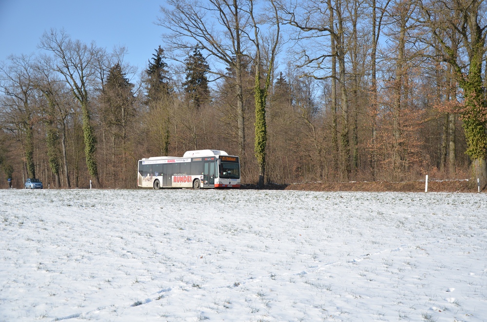 811 Neu-Hagenbach <-> RV - Rümmelinstraße