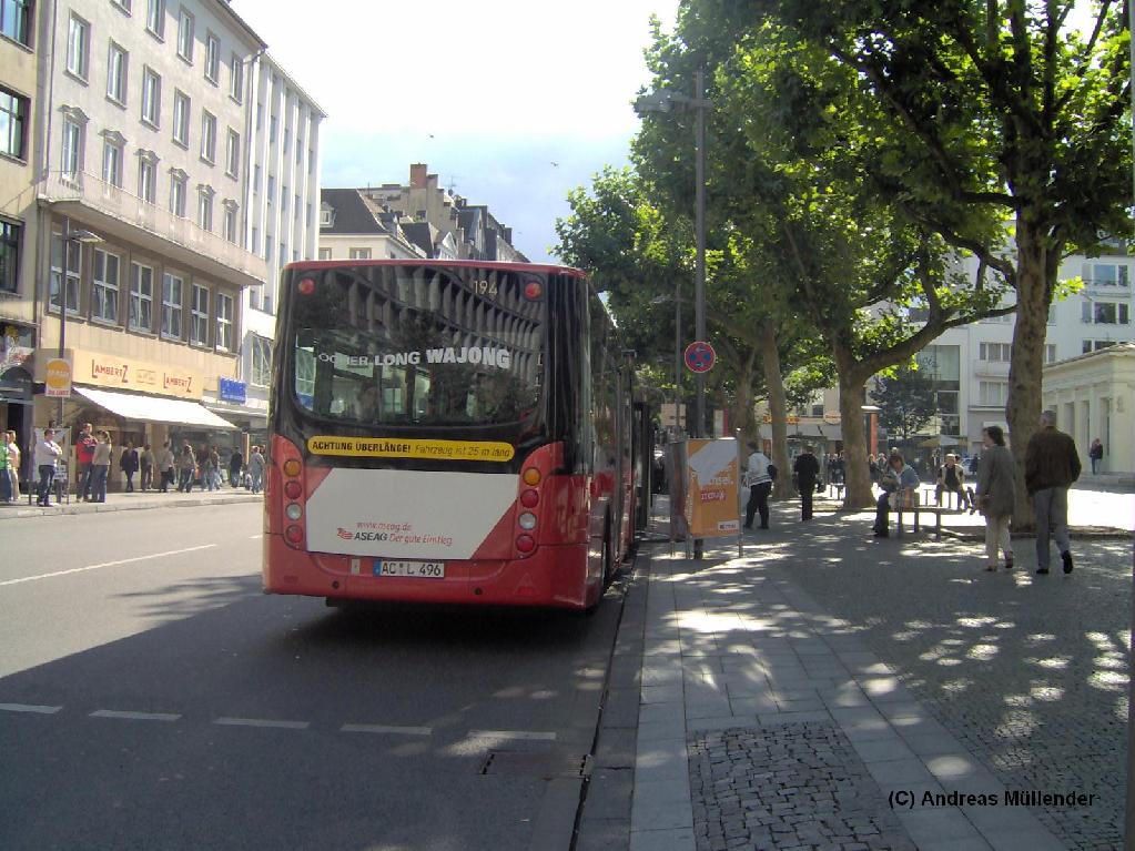 Öcher Long Wajong von Hinten