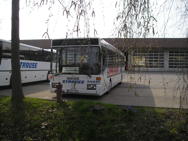 O 405 NÜ Strauss
