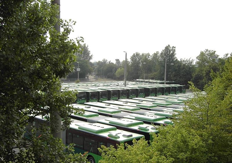 Citaros warten  auf dem Evobusgelände