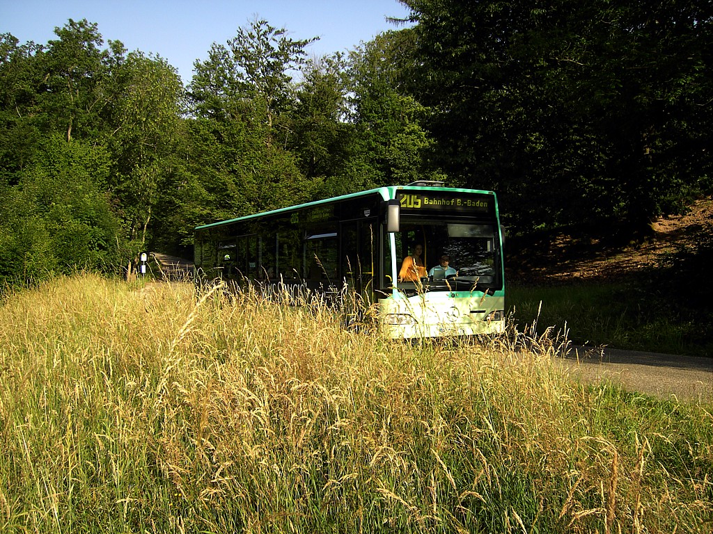 178 im Grünen