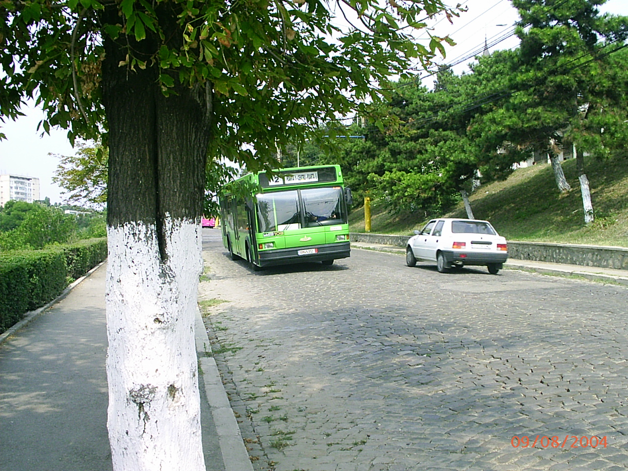 Constanta Bus III