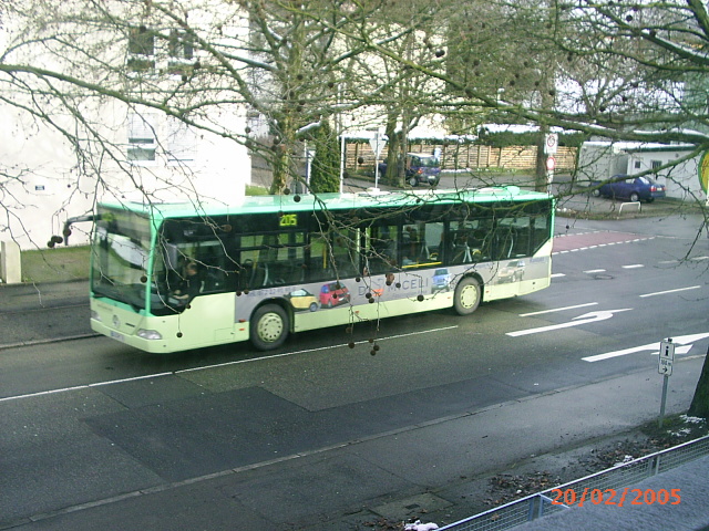 BBl-Linie 205