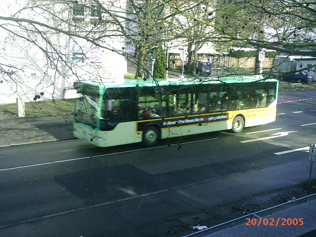 Linie 216 B-B mit Werbung