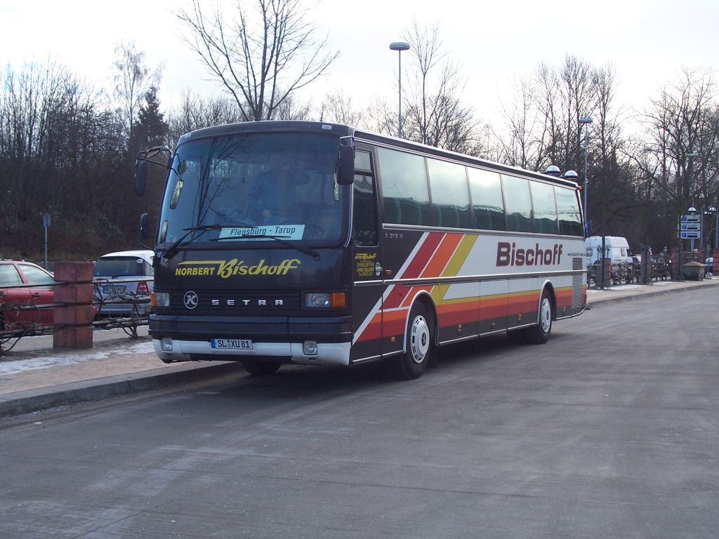 Bischoff 81 Setra S 215 H