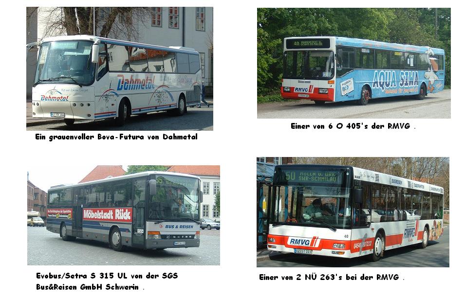 versch. Busse aus meiner Umgebung  >2<