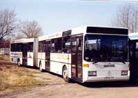 Gelenkbus der Herz-Reisen-Zossen