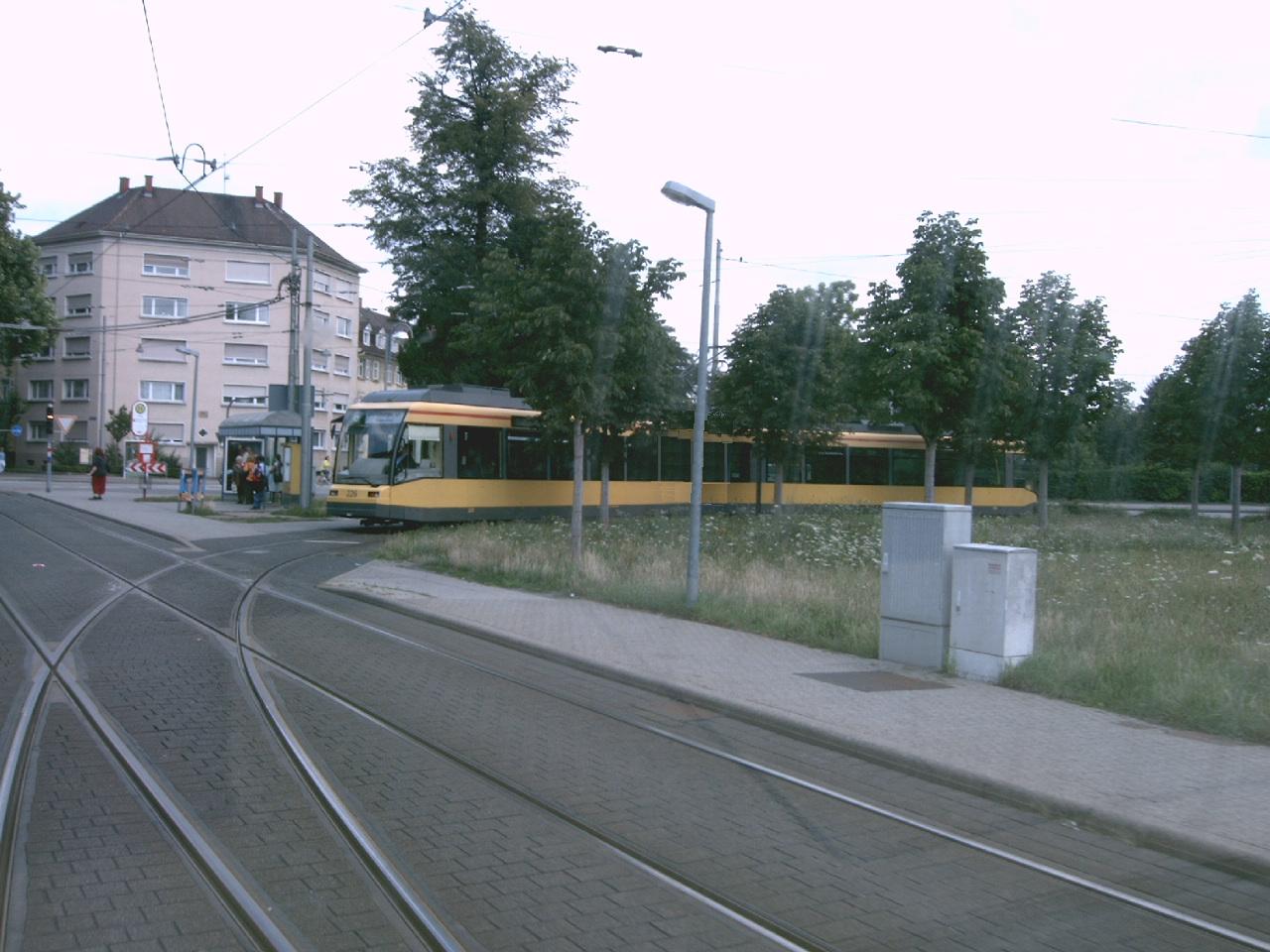 Linie 6 am Tivoli