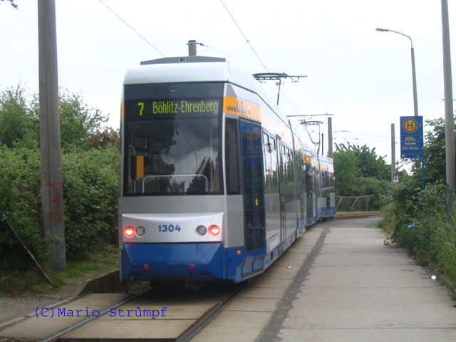Leo in Böhlitz Ehrenberg Leipzig