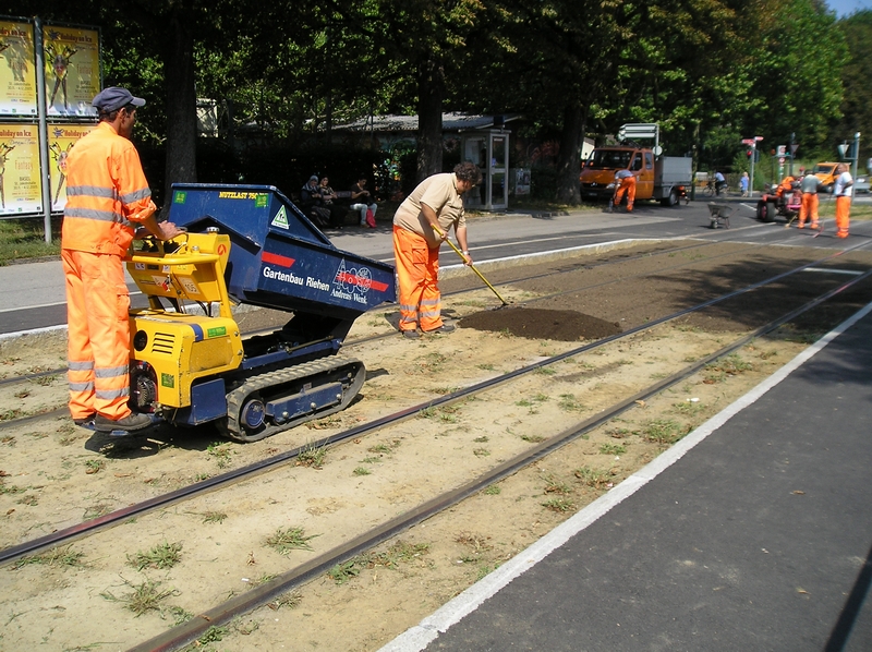Schienenverschönerung