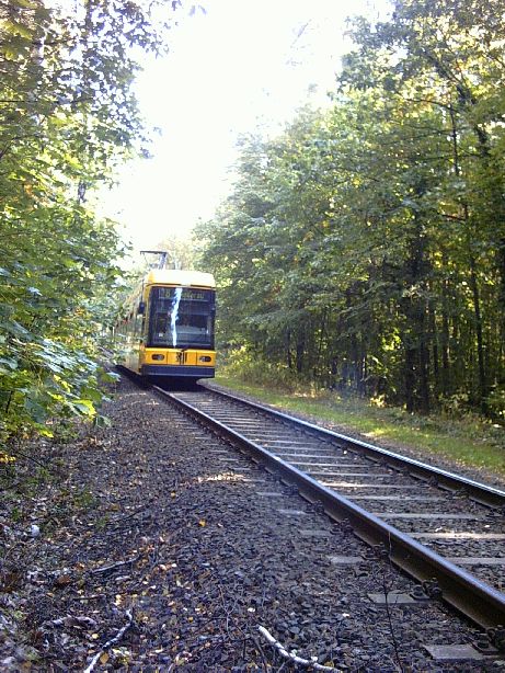 NGT6DD auf waldiger Strecke