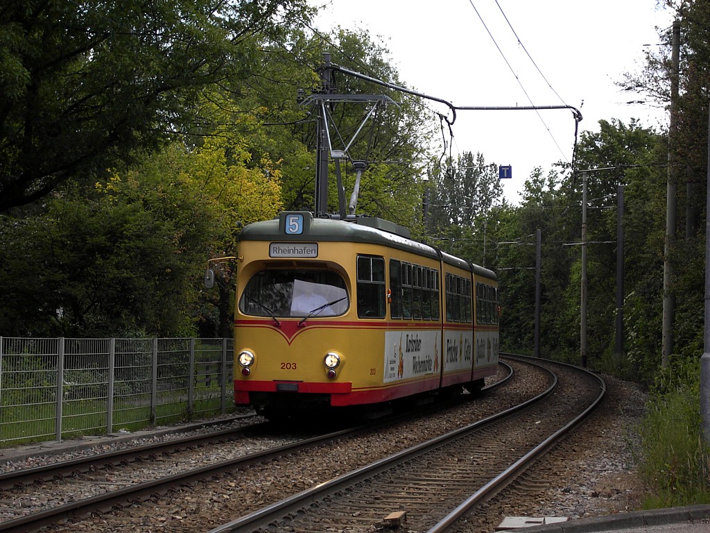 206 kurz vor dem Entenfang