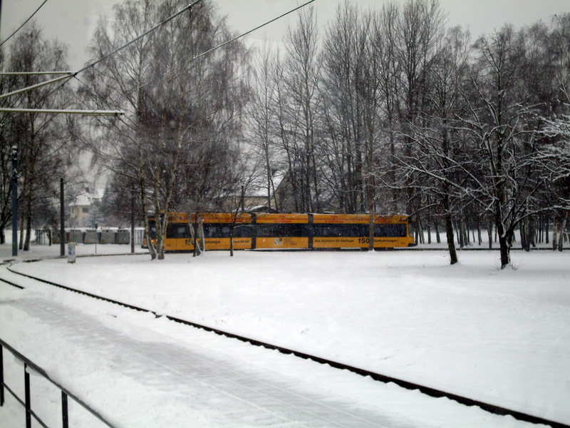 2635 - Hellerau im Schnee
