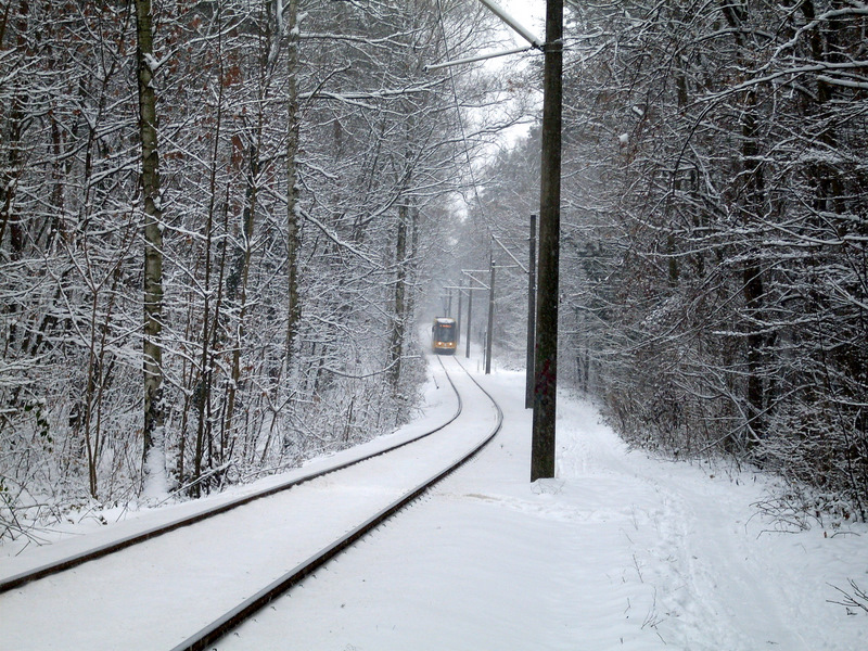 Schnee in Dresden - aber die Bahn kommt