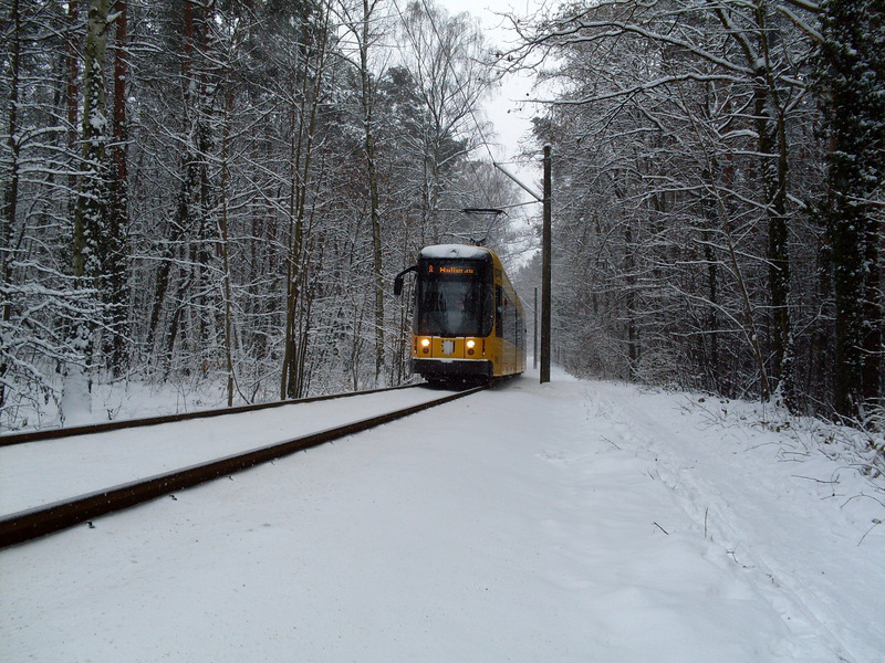Schnee in Dresden - aber die Bahn kommt
