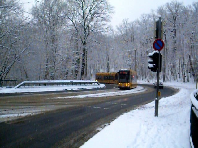 Dresden im Schnee