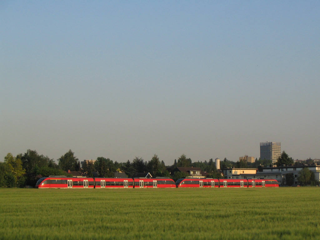 Ein Roter im Grünen