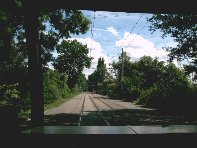 auf der Strecke nach Rappenwörth.