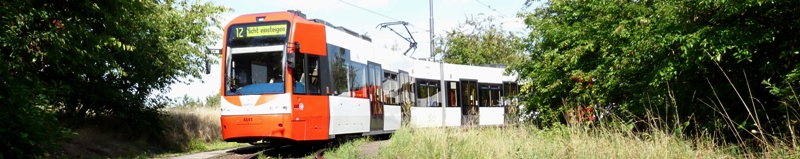 4541 Merkenich