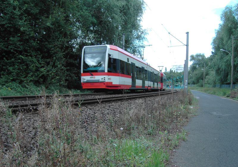 Rosenhügel