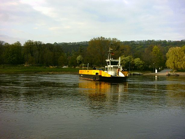Autofähre Pillnitz