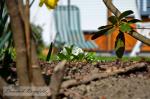 Frühling