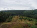 Königsfeld/Eifel