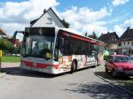 317 BFT - Schacherösch