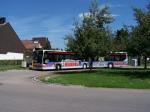 213 BFT - Schacherösch