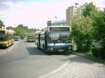 MAN A10 Steele Linie 174