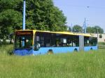 241 im Grünen