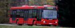 Scania Bus