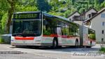 272 St. Georgen - Bach