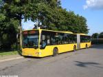 Citaro G in Burgaltendorf