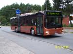 Man A21 Lions City