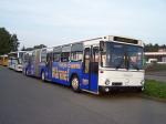 O 305 G