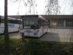 O 405 NÜ Strauss