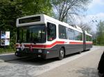 Trolleybus St. Gallen Stephanshorn