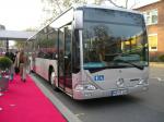 Citaro L