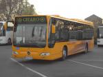 Citaro LE Orange