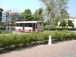 Midibus MAN Riva del Garda