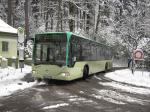 Reiss Reisen Citaro (Ex-HHA) am Merkurwald (Bergbahn)