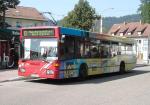 838 Freiburg-Littenweiler